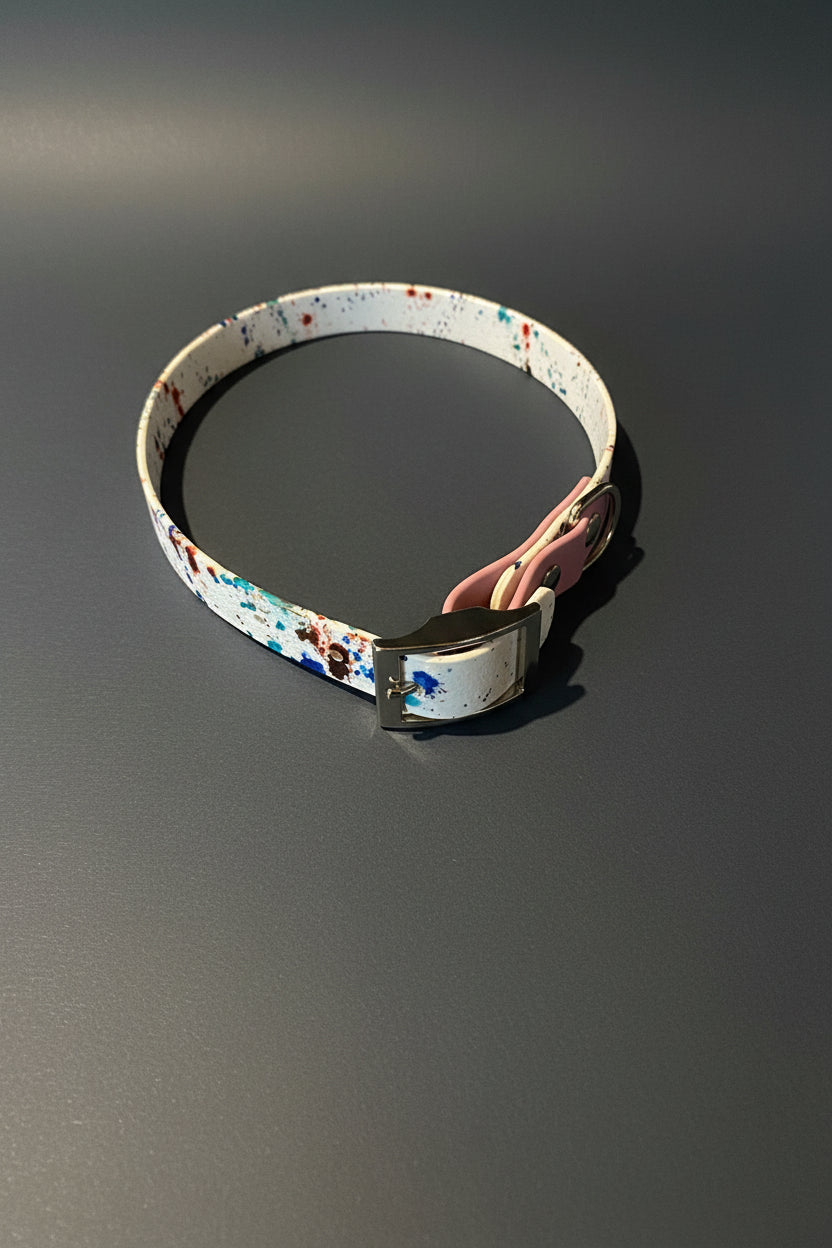 Two-Tone Dog Leash & Collar Set — Limited Edition