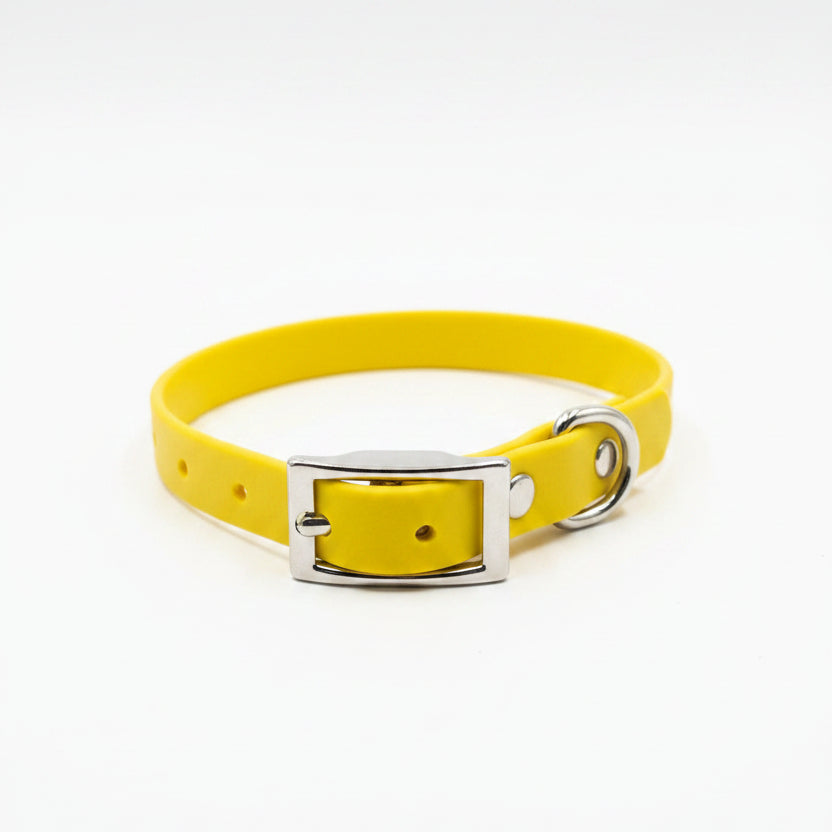 collier jaune pour petit chien en biothane