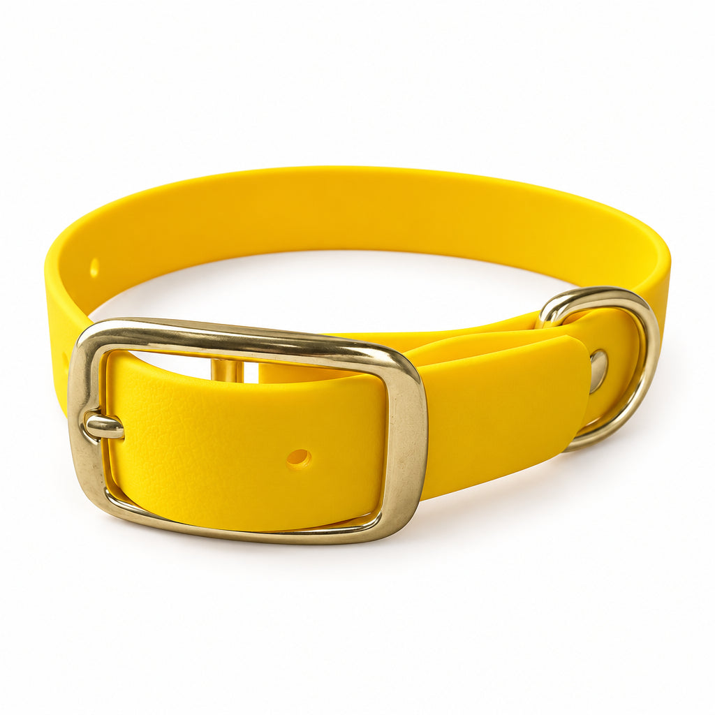 collier en biothane jaune