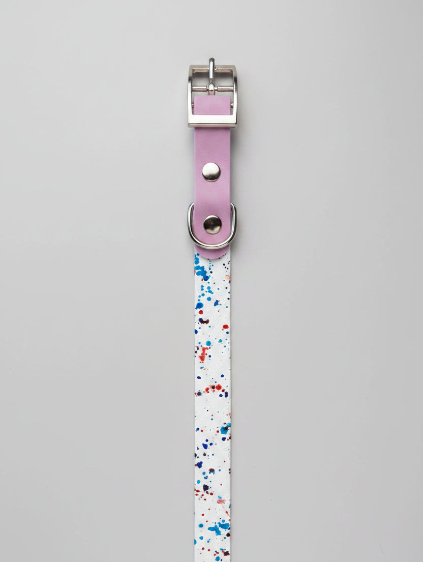 Two-Tone Dog Leash & Collar Set — Limited Edition