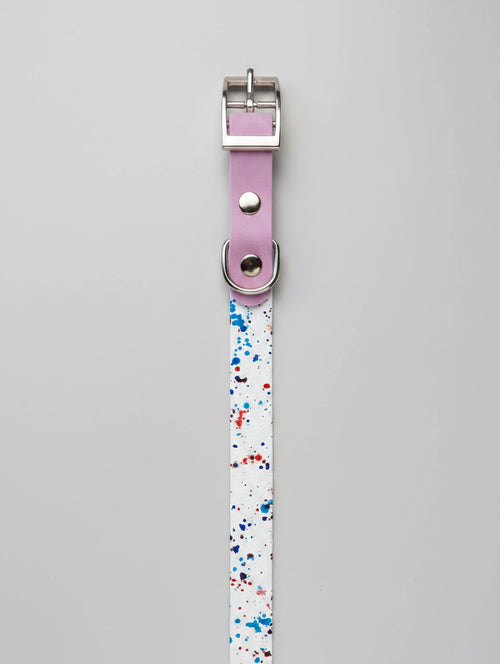 Two-Tone Dog Leash & Collar Set — Limited Edition