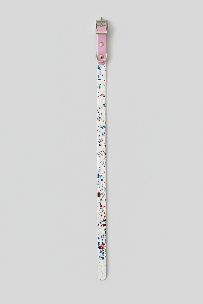 Two-Tone Dog Leash & Collar Set — Limited Edition