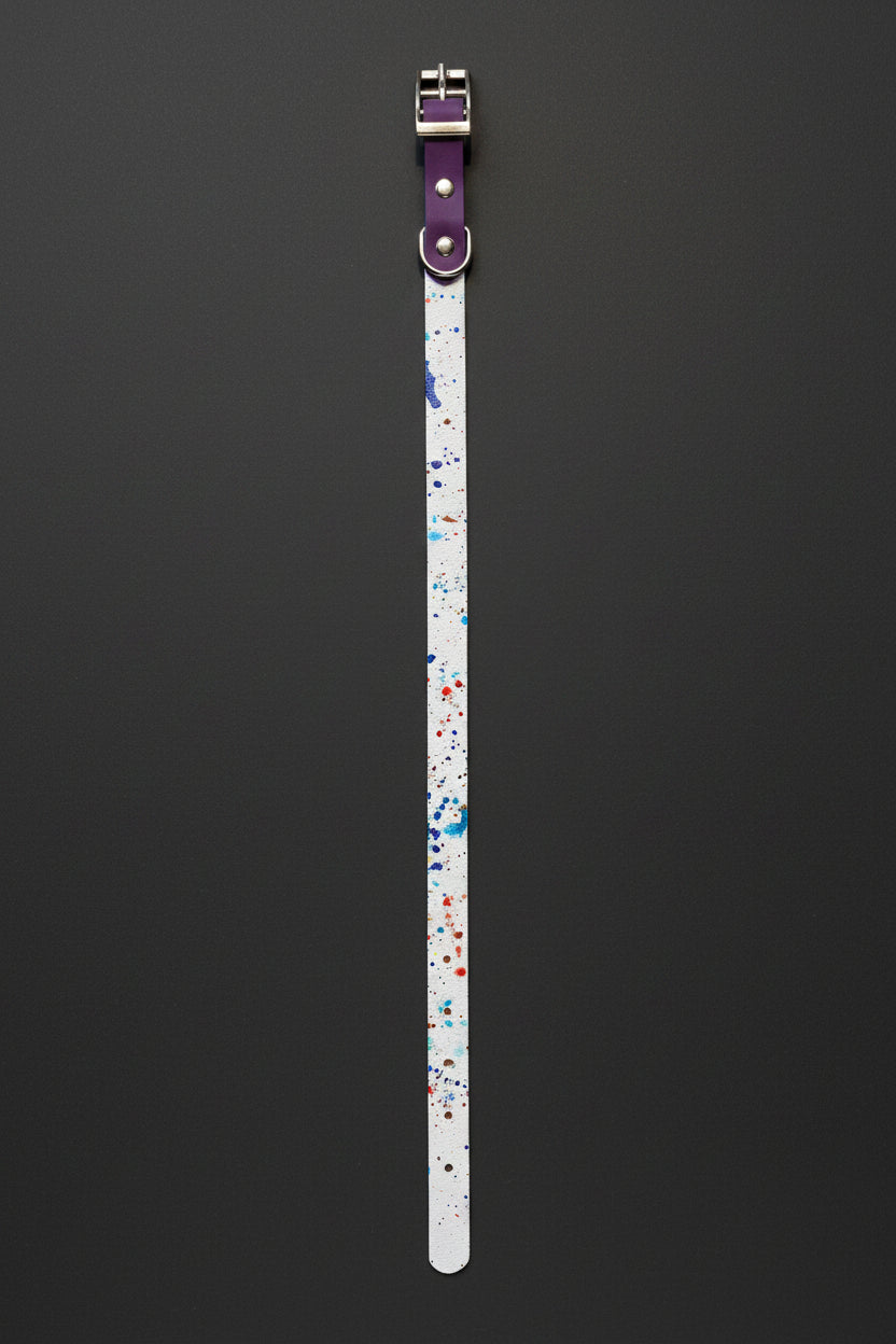 Two-Tone Dog Leash & Collar Set — Limited Edition