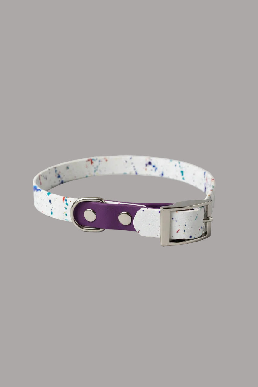 Two-Tone Dog Leash & Collar Set — Limited Edition