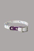 Two-Tone Dog Leash & Collar Set — Limited Edition