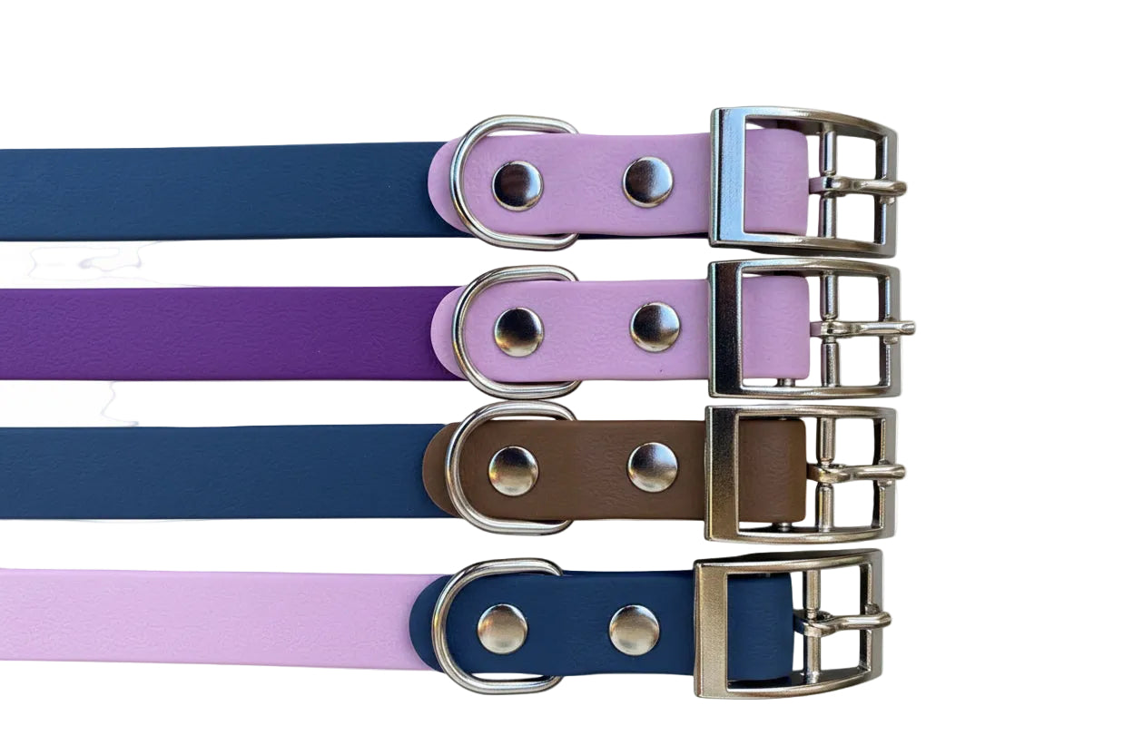 Collier pour chien bi-couleurs en pvc
Fabrication artisanale
Made in France
Collier chien Anti-odeur