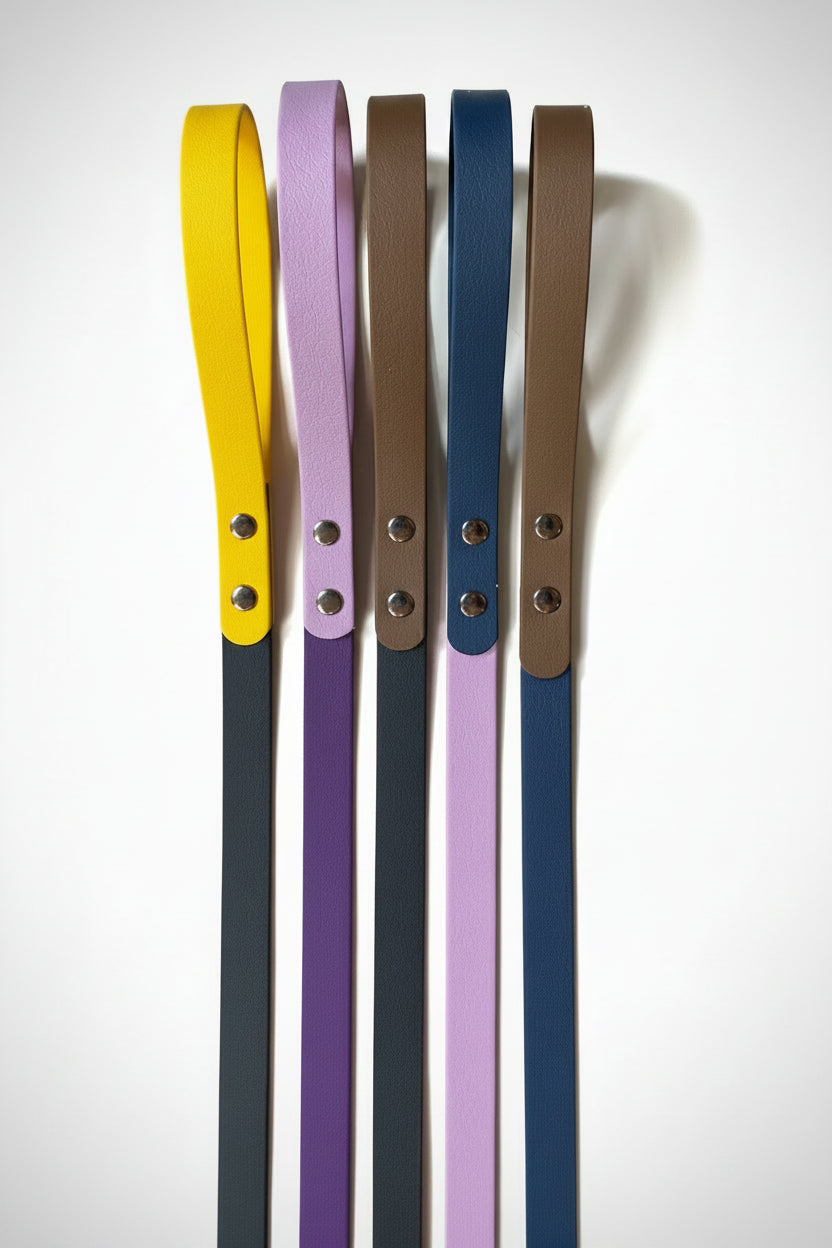 Laisse pour chien bi-couleurs artisanale en PVC 20mm – 135 cm – Qimmi Gold
