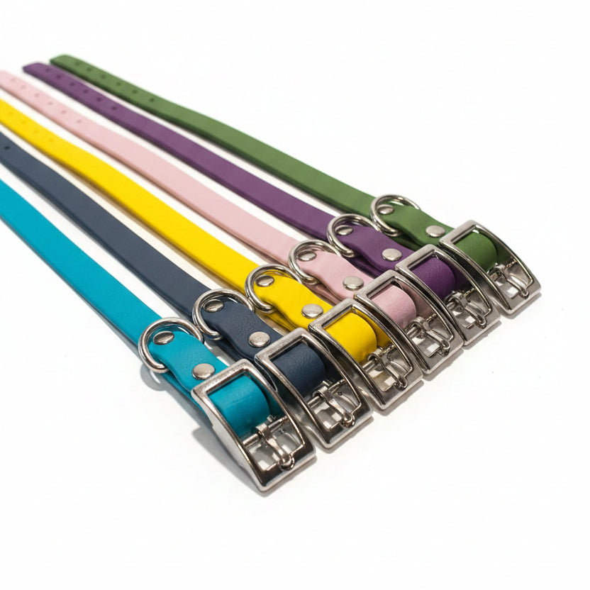 collier pour petit chien Qimmi Gold