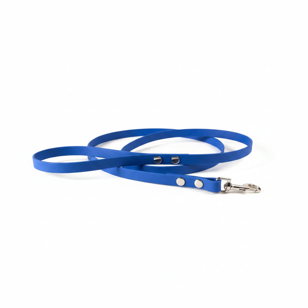 Laisse pour chien bleu