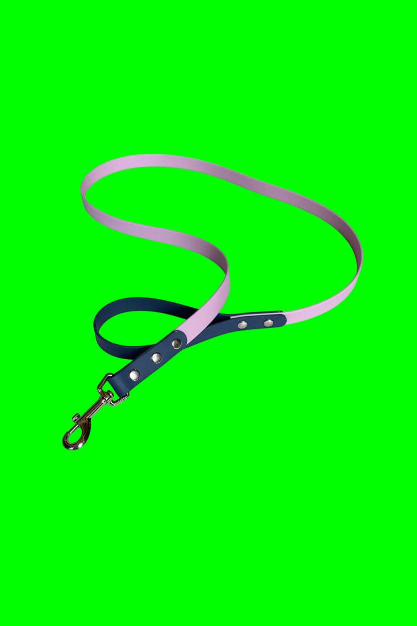 Laisse pour chien bi-couleurs artisanale en PVC 20mm – 135 cm – Qimmi Gold
