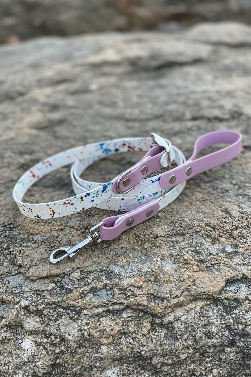 Two-Tone Dog Leash & Collar Set — Limited Edition