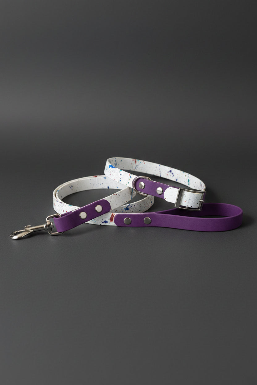 Two-Tone Dog Leash & Collar Set — Limited Edition