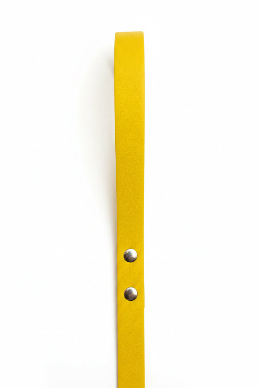 Handmade 20mm PVC Dog Leash – 1.40m – Qimmi Gold