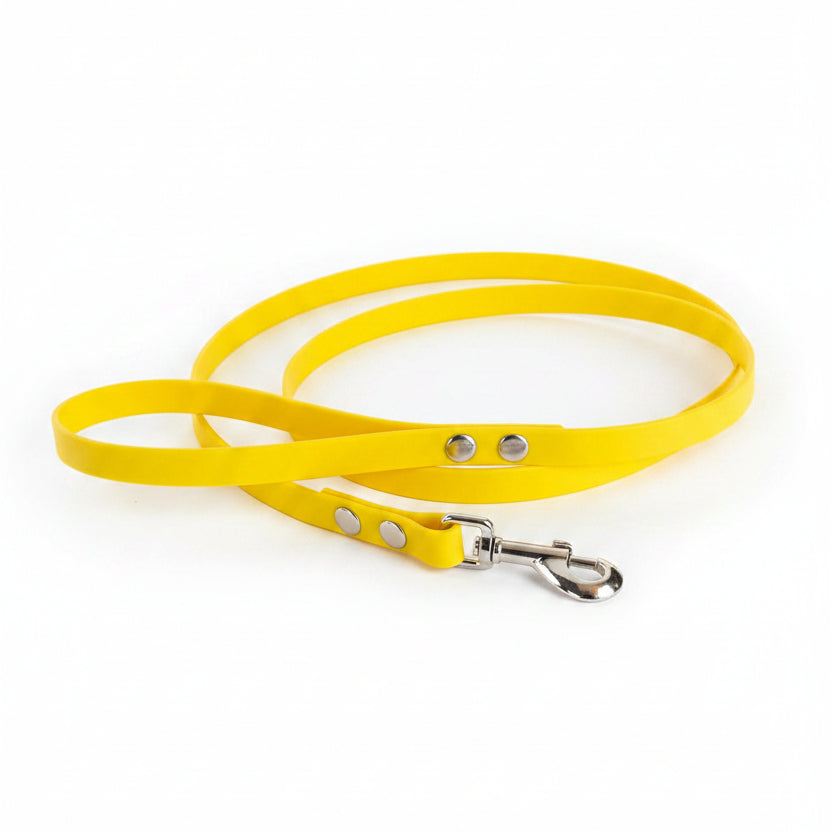 pvc laisse chien jaune biothane