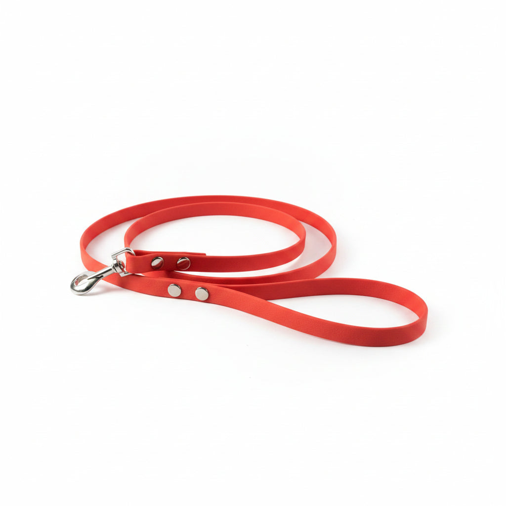 Laisse petit chien rouge