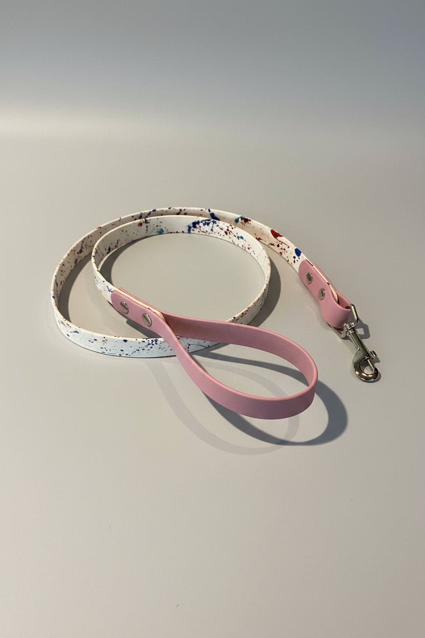 Two-Tone Dog Leash & Collar Set — Limited Edition
