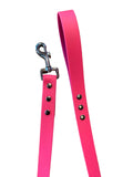 laisse pour chien anti odeur
