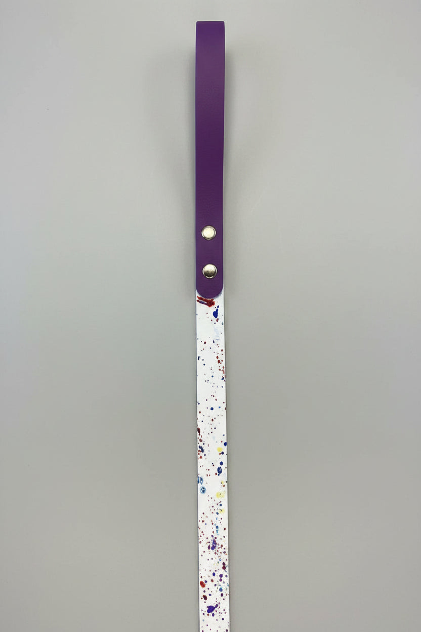 Two-Tone Dog Leash & Collar Set — Limited Edition