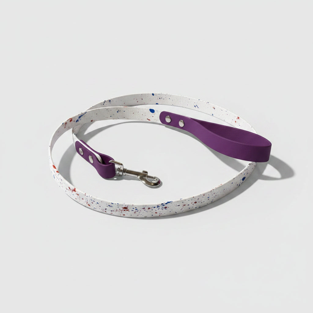 Two-Tone Dog Leash & Collar Set — Limited Edition