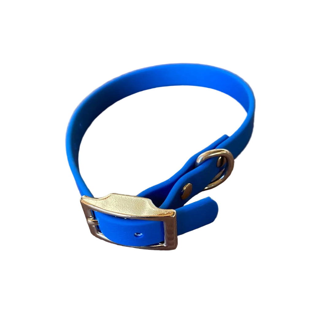 collier chien biothane bleu 