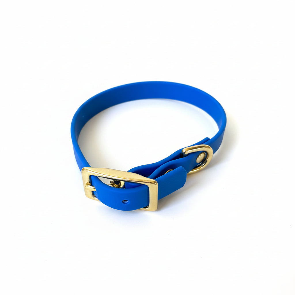 collier imperméable bleu qimmi gold