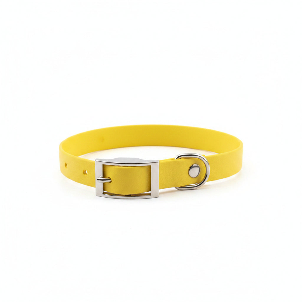 Handmade 20mm PVC Dog Collar – Qimmi Gold