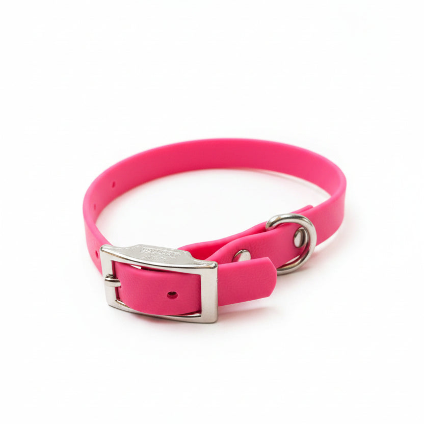 collier chien rose fluo