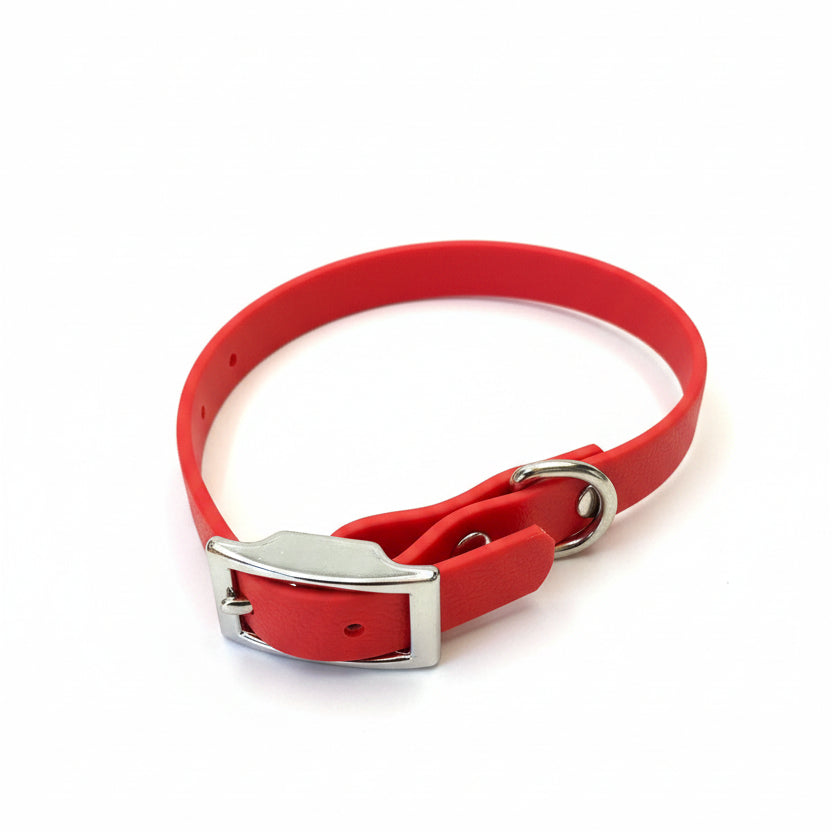collier chien rouge imperméable