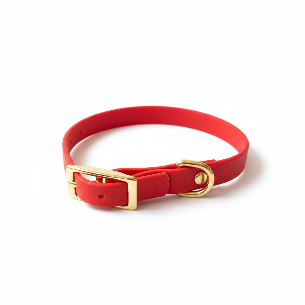 collier chien pvc rouge