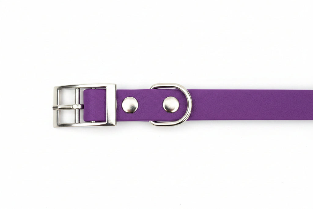 Handmade 20mm PVC Dog Collar – Qimmi Gold