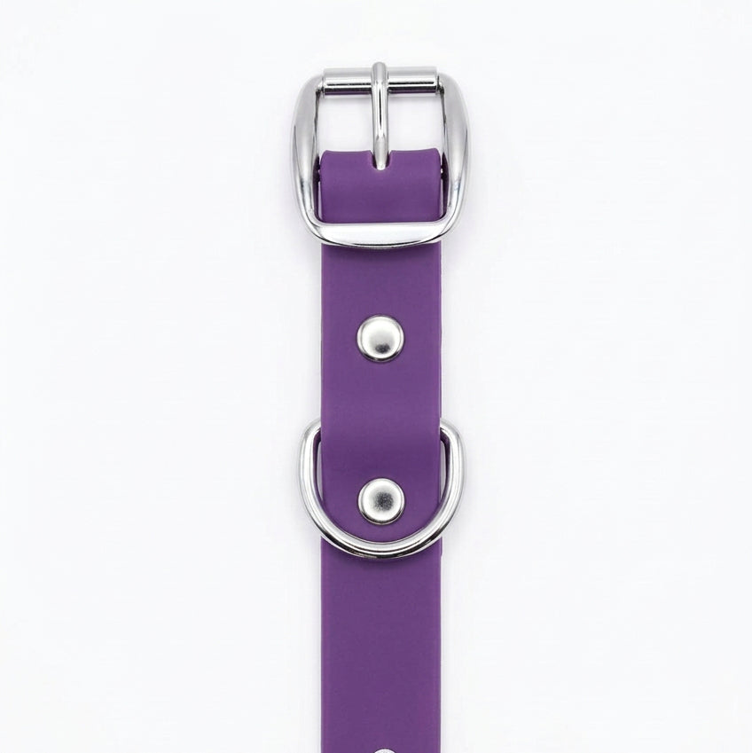 collier pour chien waterproof