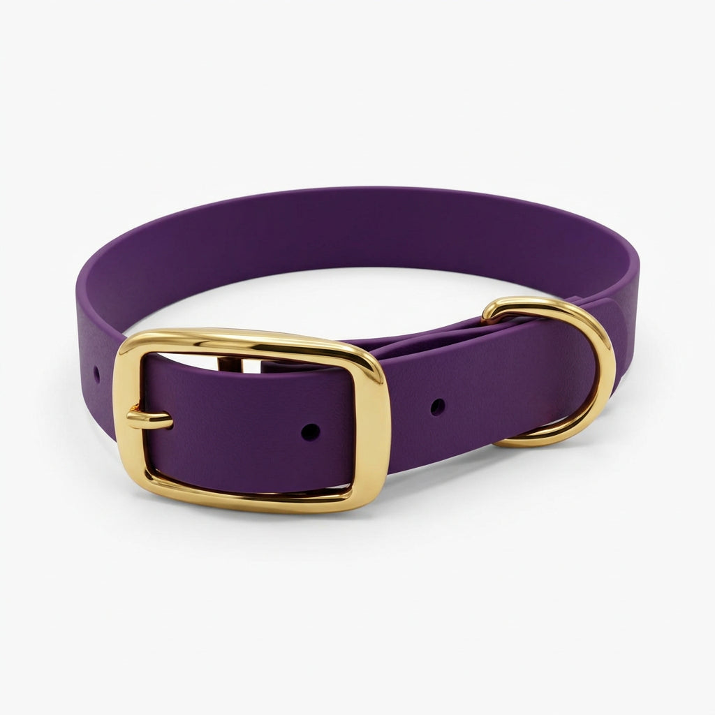 collier chien qimmi gold
