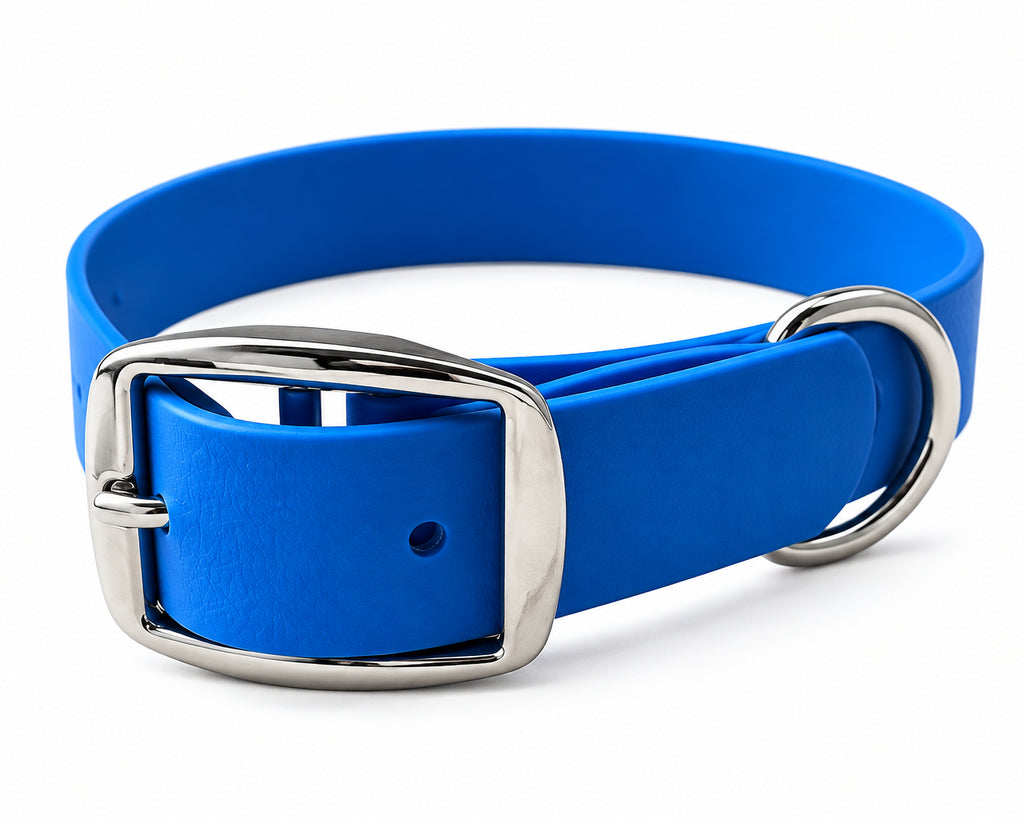 collier chien 25mm bleu 