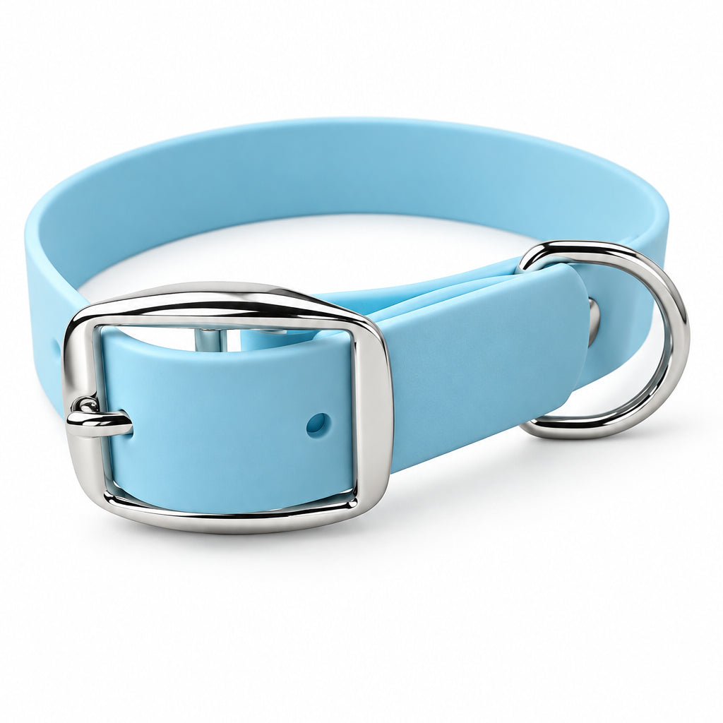 collier chien bleu clair