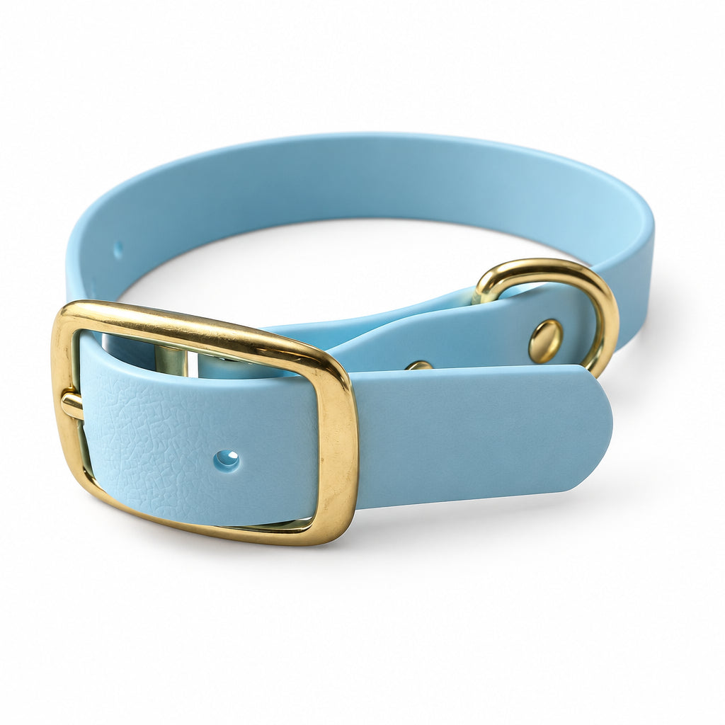 collier pour chien bleu ciel