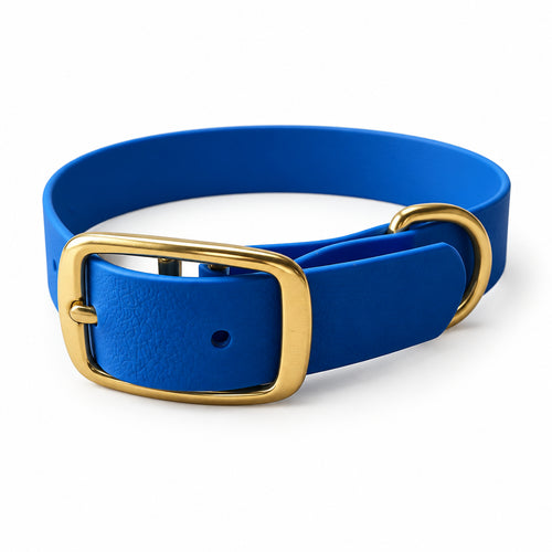 collier en biothane pour chien