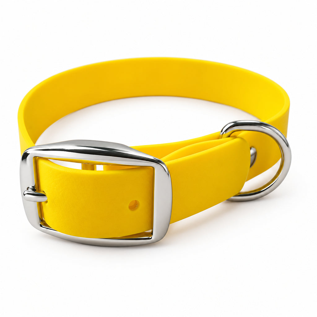 collier ceinture jaune chien