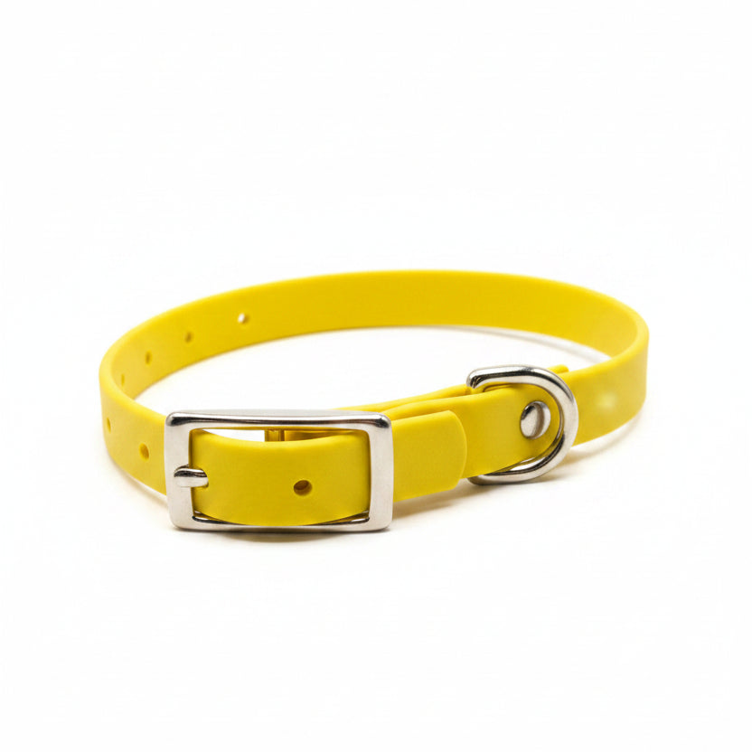 collier jaune petit chien pvc 