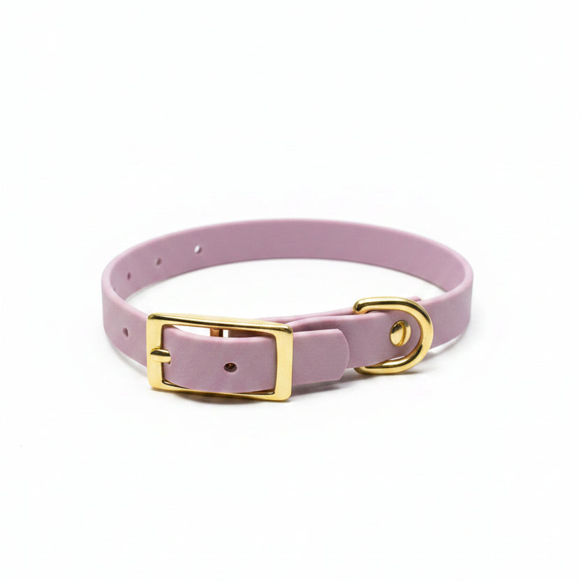 collier pvc lavande pour chien petit qimmi gold
