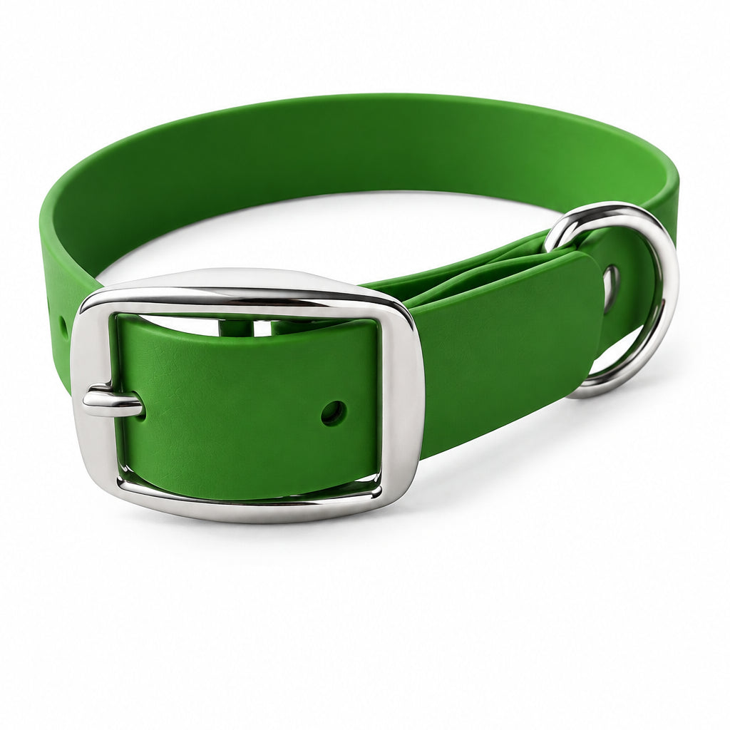 chien collier imperméable 