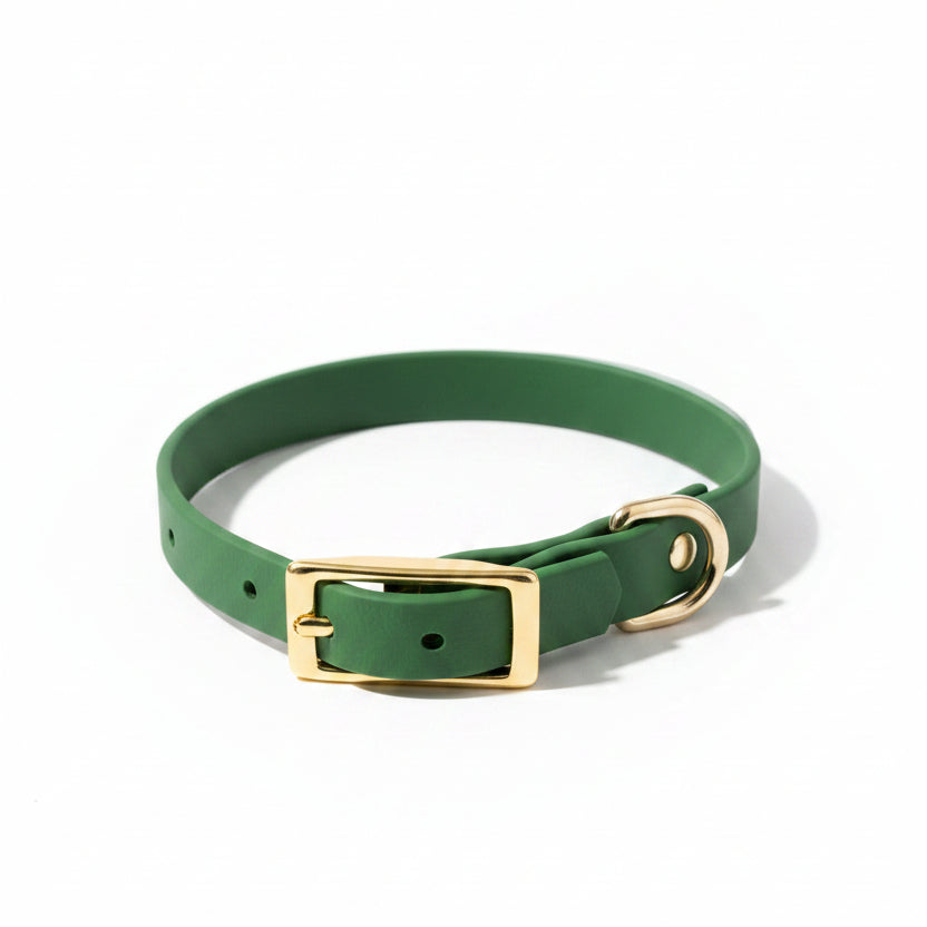 collier olive pour petit chien 
bouclerie laiton Qimmi Gold