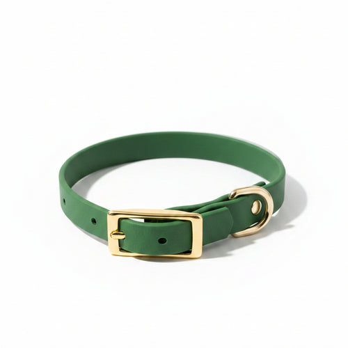 collier olive pour petit chien 
bouclerie laiton Qimmi Gold
