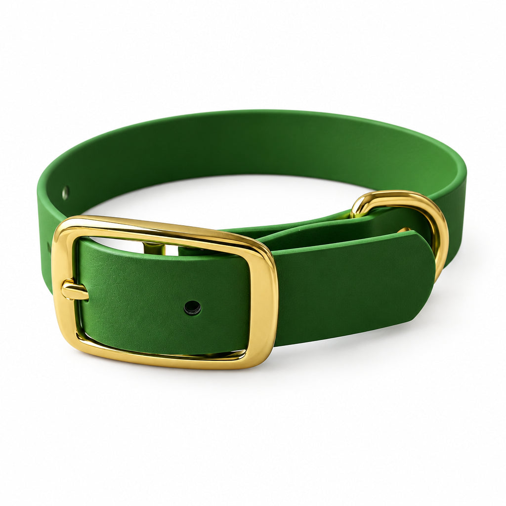 vert olive collier ceinture chien