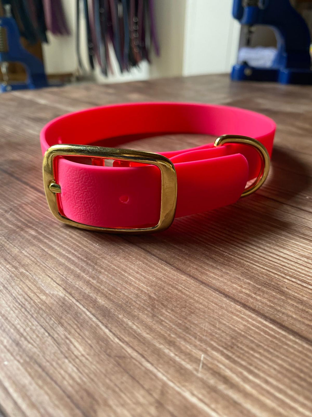 Collier pour chien Qimmi Gold - PVC 25mm - 9 coloris - Artisanal