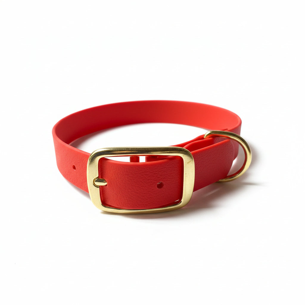 Collier pour chien Qimmi Gold - PVC 25mm - 9 coloris - Artisanal