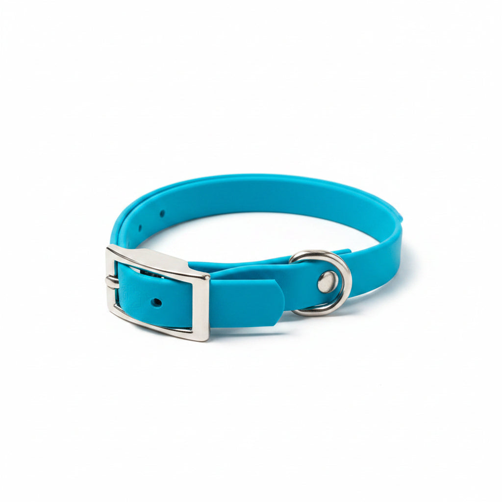 accessoire pour petit chien en biothane