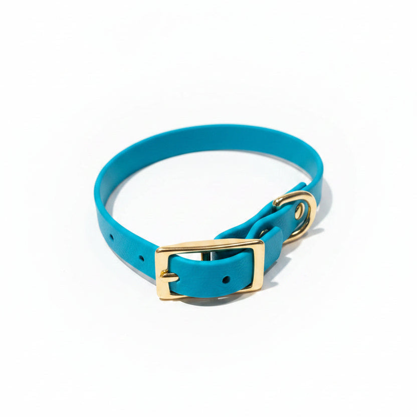 Collier vert pastel pour petit chien en biothane
qimmi gold