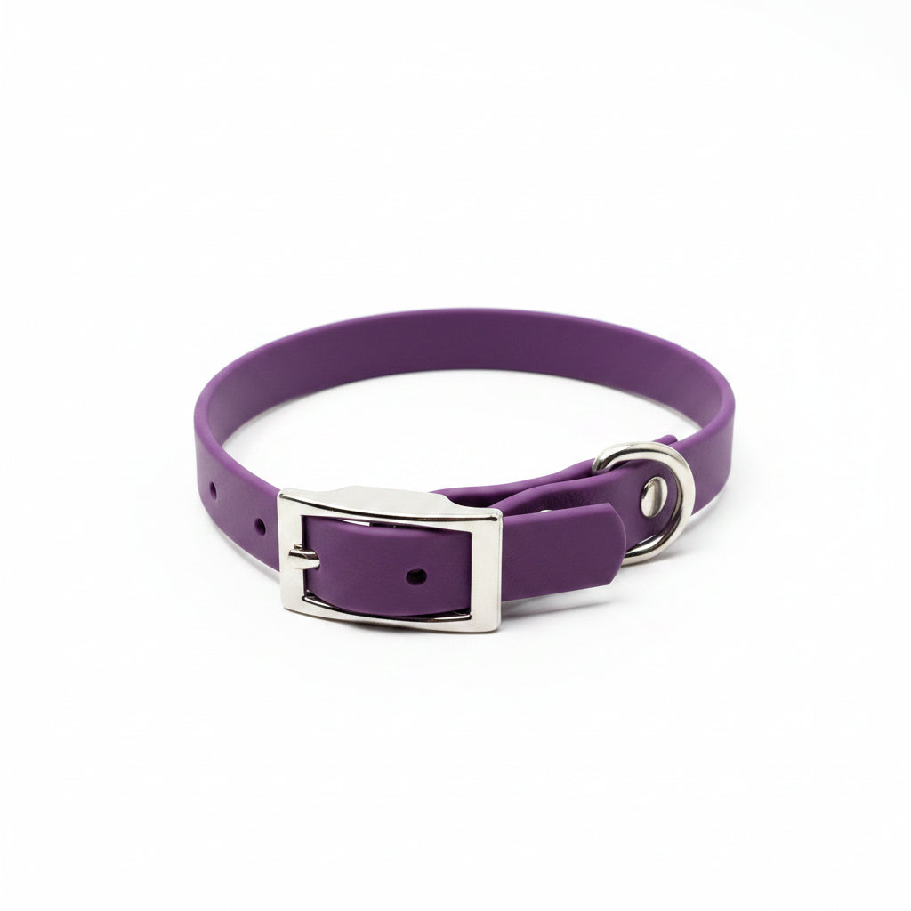collier pour chien petit en pvc Qimmi Gold