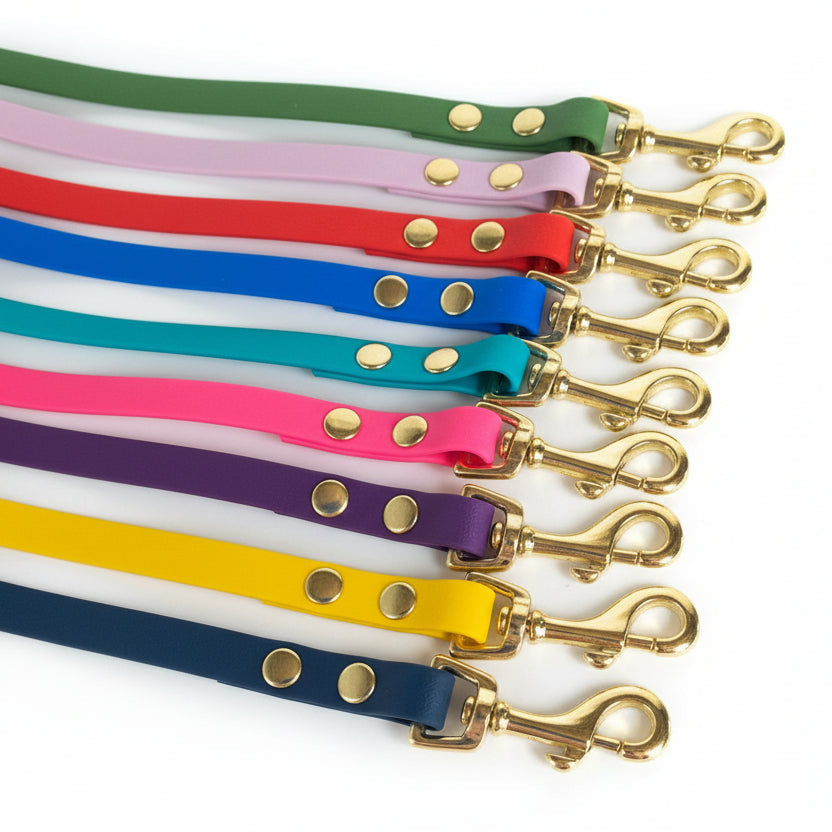Laisse pour chien qimmi gold