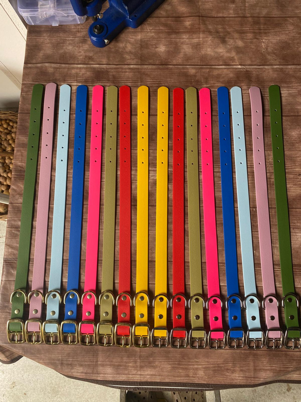 Collier pour chien Qimmi Gold - PVC 25mm - 9 coloris - Artisanal